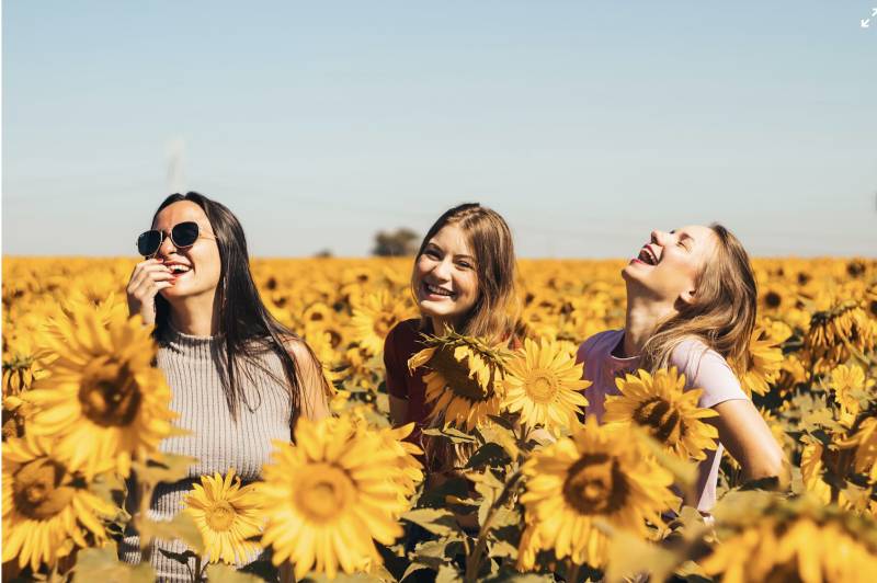 Ха-ха, вот оно что! Как момент смеха становится моментом прозрения